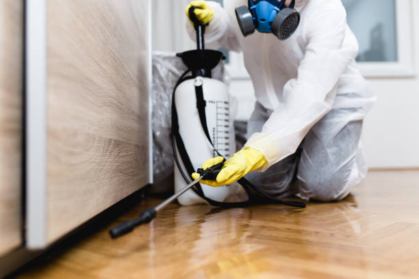 Best Pest Control Treatment  in Hudson, PA