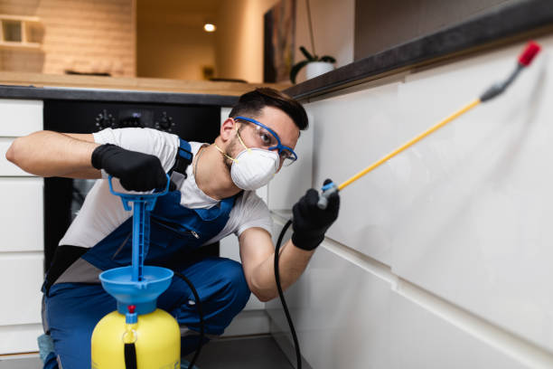 Professional Pest Control in Hudson, PA