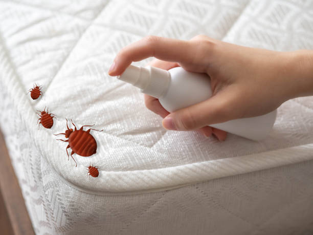 Best Residential Pest Control  in Hudson, PA